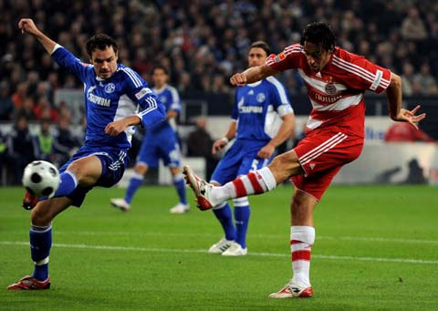 获得了33 获得了33