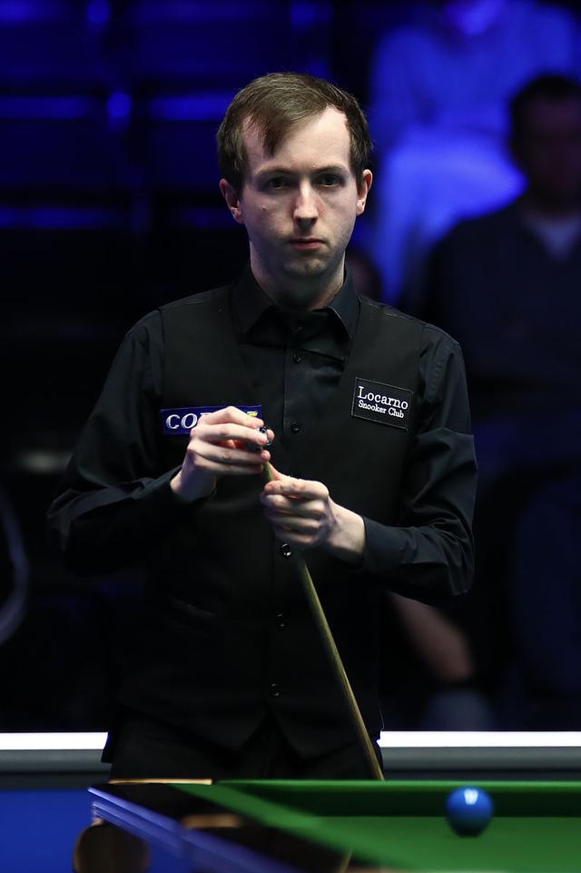 江原道冬青 江原道冬青