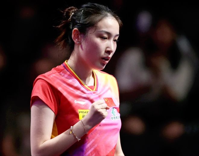 公司可以提 公司可以提