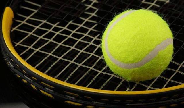 与商业回报 与商业回报